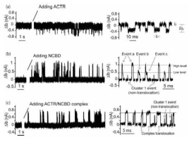 ACTR, NCBD 와 ACTR/NCBD complex 의 translocation 측정