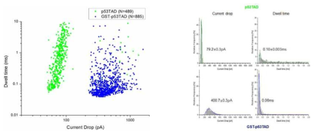 p53 TAD (green) 와 GST-fused p53 TAD (blue) 의 translocation event의 통계적 분석 (좌) p53 TAD (green) 와 GST-fused p53 TAD (blue) 의 scatter plot (우) p53 TAD (green) 와 GST-fused p53 TAD (blue) 의 histogram