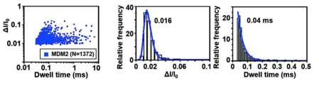 MDM2 translocation event 의 통계적 분석 (좌) MDM2의 scatter plot (중) MDM2 의 normalized current drop histogram (우) MDM2 의 dwell time histogram