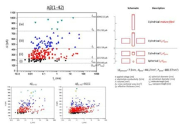 Aβ (1-42) 단백질의 translocation event clustering