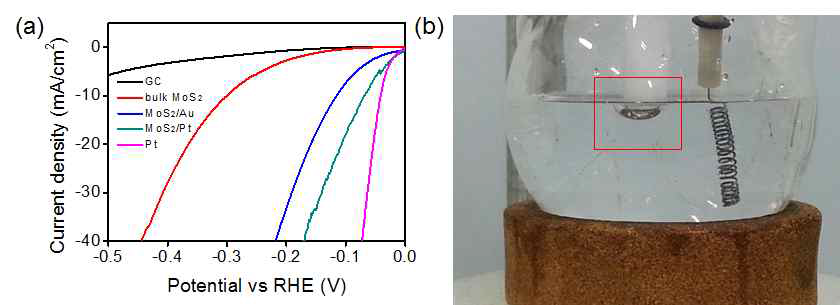 공촉매가 담지된 2차원 나노구조 MoS2 기반 하이브리드 물분해 촉매의 HER 촉매 특성평가 및 수소 발생 사진