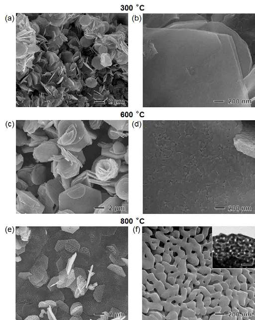 열처리 온도에 따른 망간 나노구조체의 SEM 및 TEM 사진