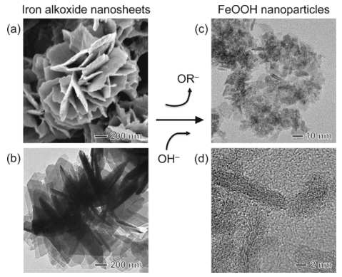 화학 반응을 통한 철 옥시수산화물 합성법의 SEM 및 TEM 사진