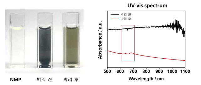 박리 전후의 용매 사진 및 UV-vis 분광분석