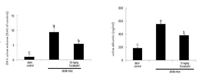 제2형 당뇨 동물모델에서 소변 양과 소변 알부민 측정 당뇨병의 대표적인 증상인 다뇨를 확인하기 위하여 제 2형 당뇨 동물모델인 db/db mouse를 이용하여 24시간동안 소변을 수집한 후 양을 측정하였으며 이것으로 소변 중 알부민 양을 측정하였다. 그 결과 8주간 10 mg/kg eucalyptol을 투여한 그룹에서 제 2형 당뇨그룹에 비해 소변의 양의 유의적으로 감소하는 것을 확인하였고, 또한 소변중의 알부민 수준 또한 유의적으로 감소하는 것을 확인하였다