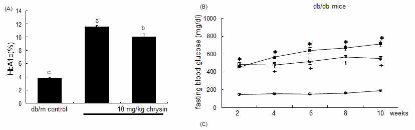 제 2형 당뇨 동물모델인 db/db mouse에 10mg/kg의 농도로 10주간 chrysin을 투여한 후 당화혈색소(HbA1c)와 10주간의 공복혈당을 측정한 결과 chrysin을 투여한 경우 당화혈색소의 수준과 공복혈당이 유의적으로 감소하는 것을 확인하였다