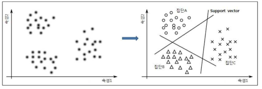 MSVM 개념도