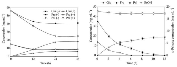 (a) 3PE에 fructose로부터 pscicose 생산, (b) S. cerevisae에 의한 fructose와 glucose 발효