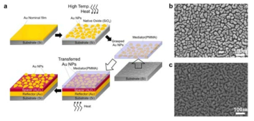 (a) 금속-유전체-금속 구조 공정 과정, (b) 침전을 느리게 시켰을 때 금 나노 입자 크기 및 배열, (c) 침전을 느리게 한 경우의 금 나노 입자 크기 및 배열