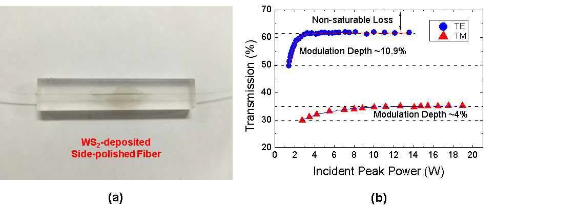 (a) 제작된 WS2 기반 포화흡수체의 실제 사진. (b) WS2 기반 포화흡수체의 비선형 투과 곡선