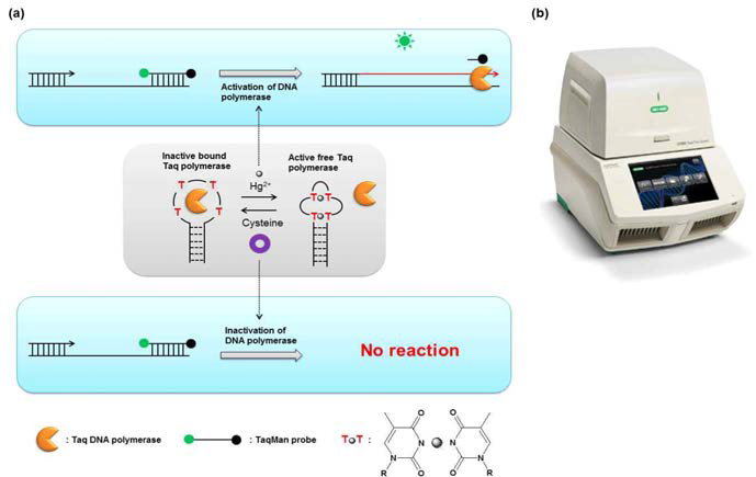 (a) TQ21D 압타머의 상호작용에 기반한 핵산중합효소 활성 조절 및 가역적 스위칭 기술 모식도, (b) real-time PCR 기기