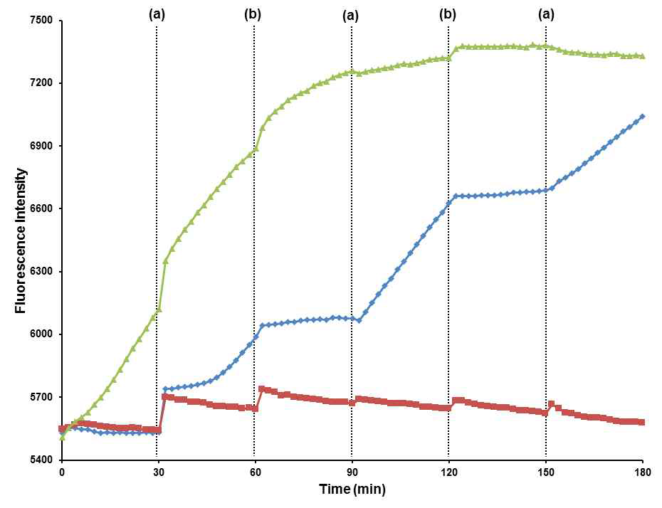 TQ21D 압타머 기반 핵산중합효소 활성의 가역적 스위칭. (a) 금속이온 첨가 시간, (b) cysteine 첨가 시간. Blue curve: 핵산중합효소+TQ21D 압타머+Hg2++cysteine, Red curve: 핵산중합효소+TQ21D 압타머+Ag++cysteine, Green curve: 핵산중합효소+control TQ21D 압타머+Hg2++cysteine