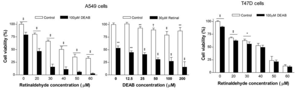 Effects of retinaldehyde and ALDH inhibition on cell viability