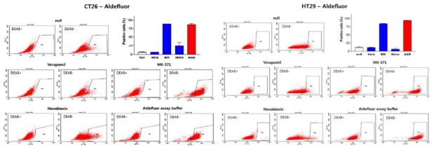 CT26와 HT29 대장암세포에서 ALDH 표적 Aldefluor 프로브의 Efflux 효과