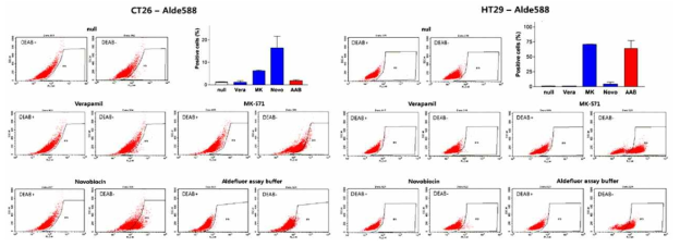 CT26 및 HT29 대장암세포에서 ALDH 표적 Alde.Rd-588 프로브의 Efflux 효과