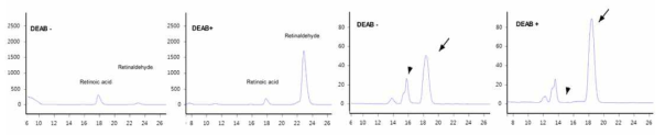 HPLC analysis of retinaldehyde and its metabolites