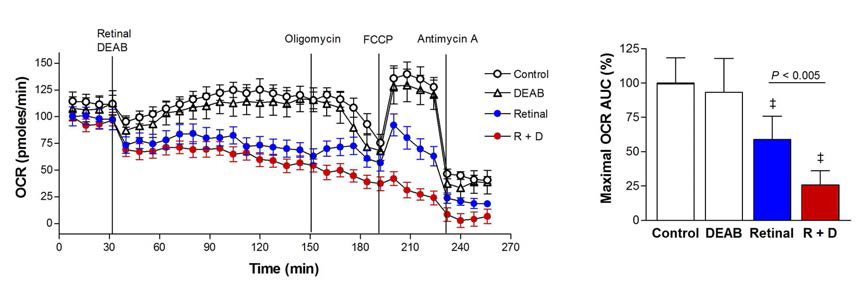 ALDH inhibition potentiates the ability of retinaldehyde to suppress cellular OCR