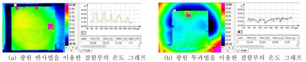 광원의 열적 거동에 따른 시험편 결함부의 온도 분포