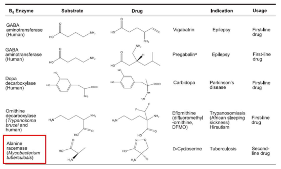 Drug target인 PLP-dependent 효소와 first/second line drug으로 사용되는 저해제의 예