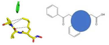 Peptide deformylase (PDF) 와 actinonin의 결합구조 및 Substrate 결합 구조로 부터 hydrophobic interaction이 중요하다고 해석하여 새로 디자인된 화합물 예