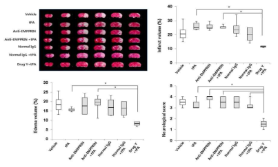 tPA의 지연투여가 적용된 색전성 뇌졸중 동물 모델에서 EMPPRIN 단일클론 항체 및 Drug Y의 처리에 의한 항 허혈 효과. TTC로 염색된 색전성 뇌졸중 동물의 뇌 절편(A) 과 뇌경색, 부종 및 신경행동학적 이상 (B-C)