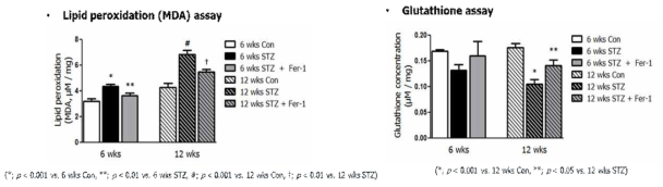 대조군, 당뇨 백서군 및 Fer-1을 처리한 당뇨 백서군의 lipid peroxidation 및 glutathione concentration의 변화