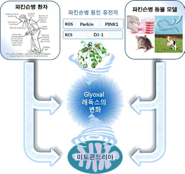 연구 개요