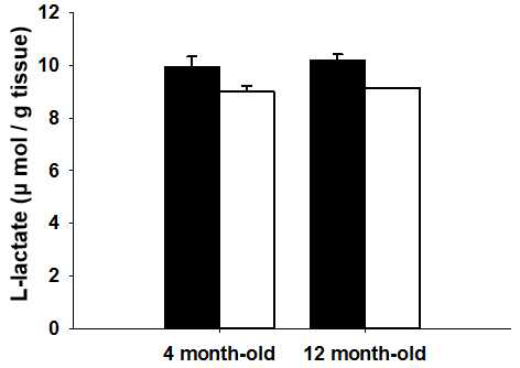 뇌에서 L-lactate양 (black: WT, white: DJ-1 KO)