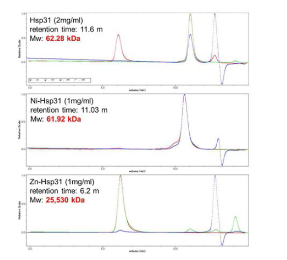 각각의 형태에 대한 MALS 분석과 측정된 분자량. Hsp31 이합체(위), Ni2+ 형태(중간), Zn2+ 초중합체(아래)