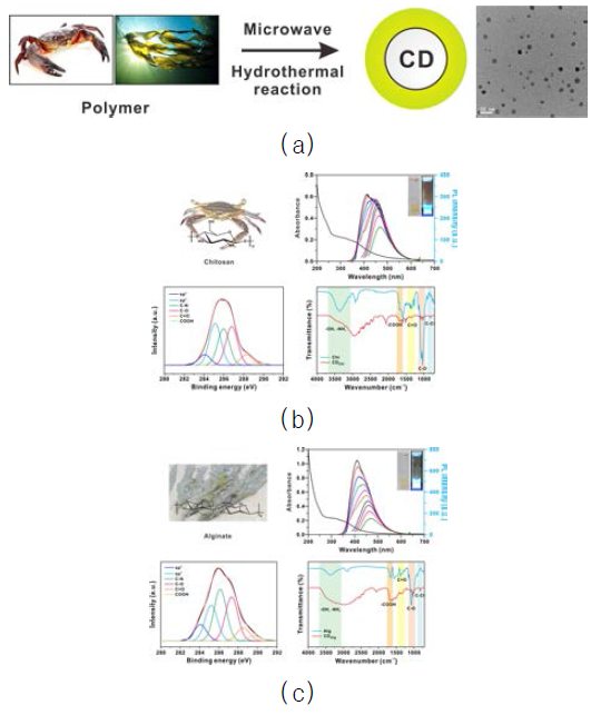 (a) 고분자를 통한 탄소나노입자 합성 (b) 키토산 및 (c) 알긴산 기반의 탄소나노입자 합성 및 분석 자료