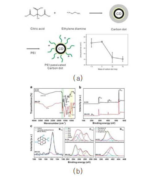 (a) passivation을 통한 탄소나노입자의 고분자 도입 및 첨가한 농도에 따른 제타전위 그래프 (b) 이종원소 도핑 된 탄소나노입자의 구조분석