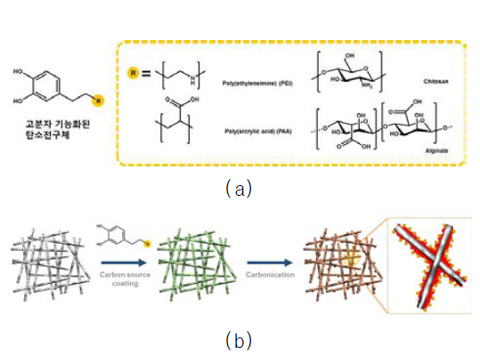 (a) 고분자 기능화된 탄소전구체의 모식도, (b) 고분자 기능화된 탄소전구체를 이용한 3차원 탄소나노 구조체 합성