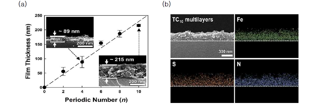 (a) SEM 이미지를 통해 측정된 TCn 다층박막의 층수(n)에 따른 다층박막의 두께 그래프 (b) TC10 다층박막 내부에 PEDOT:PSS,OA-Fe3O4 NPs, 그리고 NH2-MWCNT 가 균일하게 분포되었음을 보이는 EDS mapping 이미지