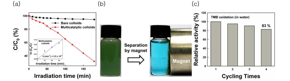 (a) UV-light irradiation을 통해 다중촉매콜로이드의 TiO2에 의한 메틸렌블루 광촉매 반응성 그래프 (b) 다중촉매콜로이드가 흡착된 Fe3O4 나노입자의 자성을 이용해 회수 가능함을 확인한 이미지 (c) 다중촉매콜로이드가 회수됨에 따라 재사용이 가능함을 대표적으로 보이는 TMB 산화 반응성 그래프