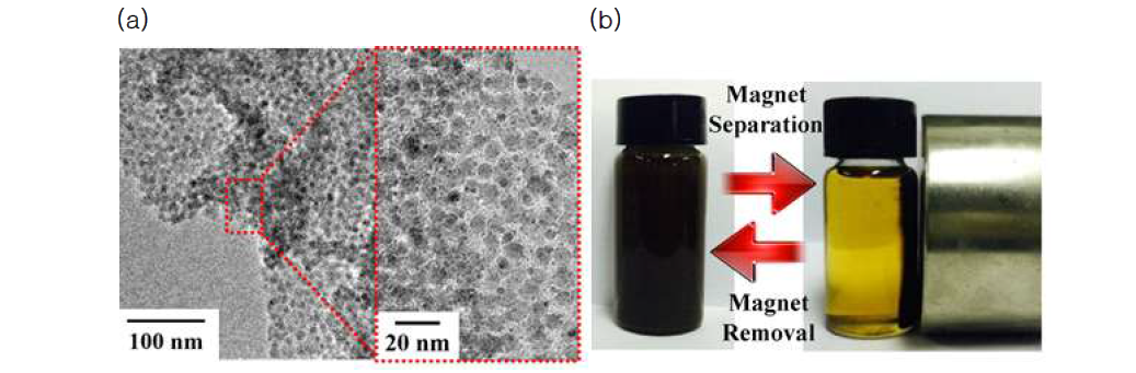 (a) 그래핀 표면이 나노입자로 고밀도 코팅된 GON-3 (GON/PEI/OA-Fe3O4/PEI/TOABr-Pd)의 TEM 이미지 (b) 유기 용매 (톨루엔)에 분산된 GON-3 촉매가 자석에 의해 회수 가능함을 보여주는 이미지