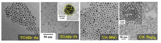 유기 용매 상에서 합성된 다양한 나노입자의 TEM 이미지