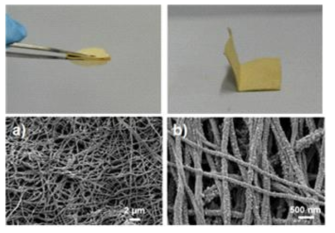 Photographs of the microporous paper and SEM images