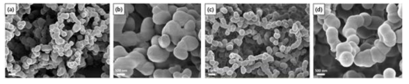 SEM images of PAAG (a and b) and MMPI (c and d)