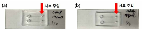 항체 고정용 아민기 확보를 위한 APTES 코팅 칩의 제작 (a) APTES를 처리하지 않은 칩, (b) APTES를 처리한 칩