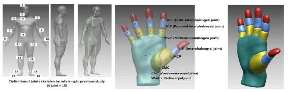 3차원 human body 및 hand template model 개발 결과