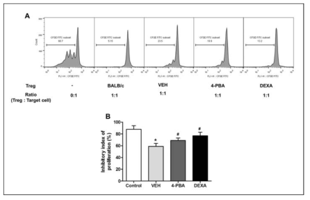 루푸스 마우스 모델에서 ER stress/autophagy modulation에 의한 조절 면역 T 세포의 억제 조절 능력 증가