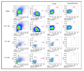 정상대조군 말초 혈액에서 Tunicamycin 농도에 따른 LAG3/FoxP3+ 조절 면역 T 세포의 유도 정도