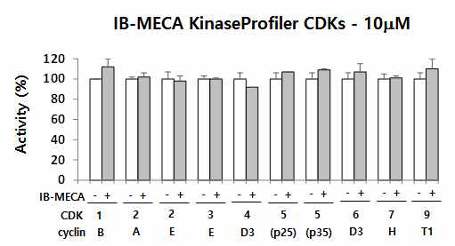 IB-MECA의 CDK 활성에 대한 영향