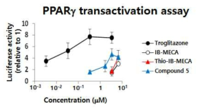 A3 AR 리간드의 PPARγ 수용체 transactivation 활성