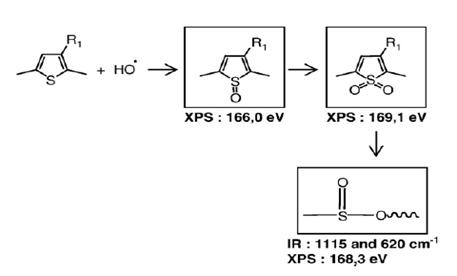 수산화 라디칼 존재조건에서의 P3HT 고분자 thiophene ring의 산화 메커니즘