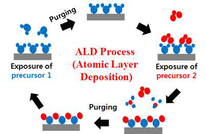원자층 증착법 (Atomic Layer Deposition, ALD)의 기본공정에 대한 모식도