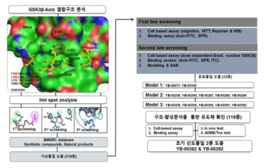 Structure-based drug design을 통한 12종의 유효물질 및 초기 선도물질 도출의 개념도