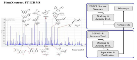 FT-ICR 스펙트럼과 유효물질 도출과정 모식도