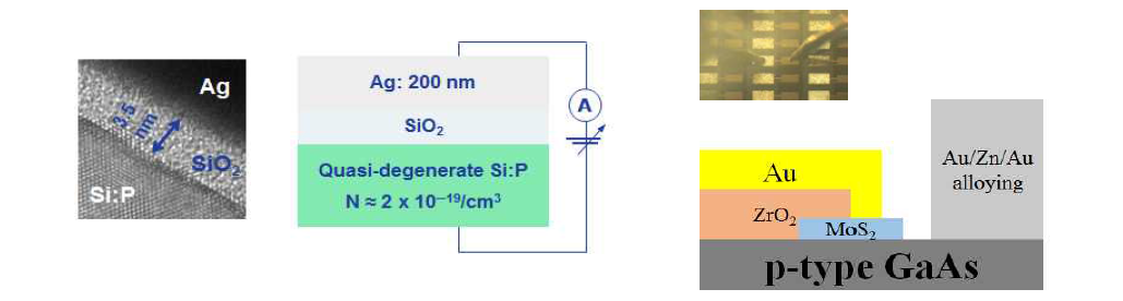 Si:P-SiO2-Ag 및 GaAs-1L MoS2 소자