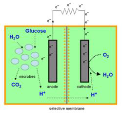 미생물연료전지 개략도